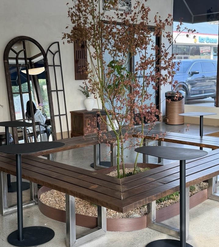 Morning light through the shopfront onto the benches.